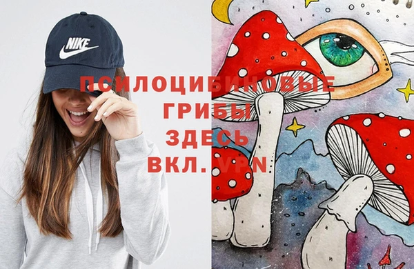 герыч Алексин