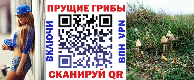 Галлюциногенные грибы ЛСД  Первоуральск 